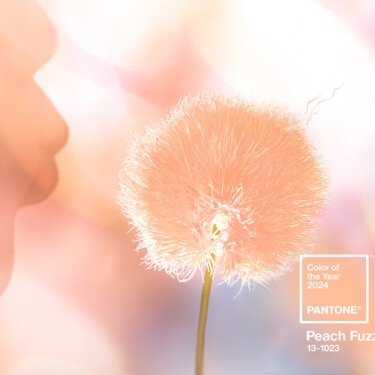 Embrassez Pantone 13-1023 Peach Fuzz